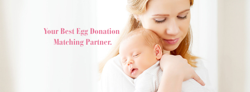 Best Egg Donor