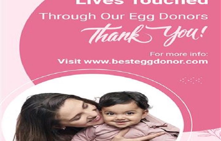 How to choose the Best Egg Donor Agency Near me