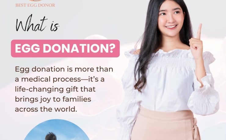 what is egg donation ?