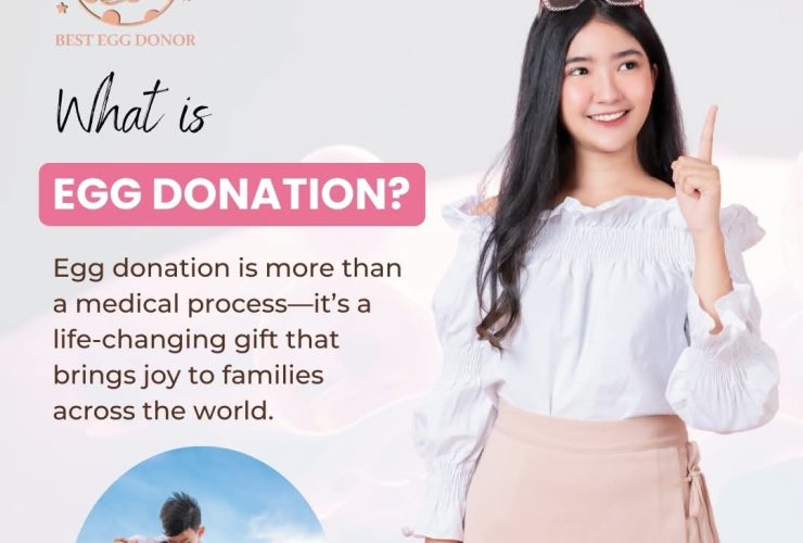 what is egg donation ?