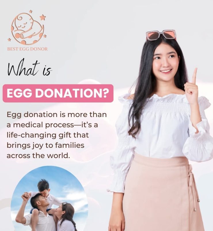what is egg donation ?