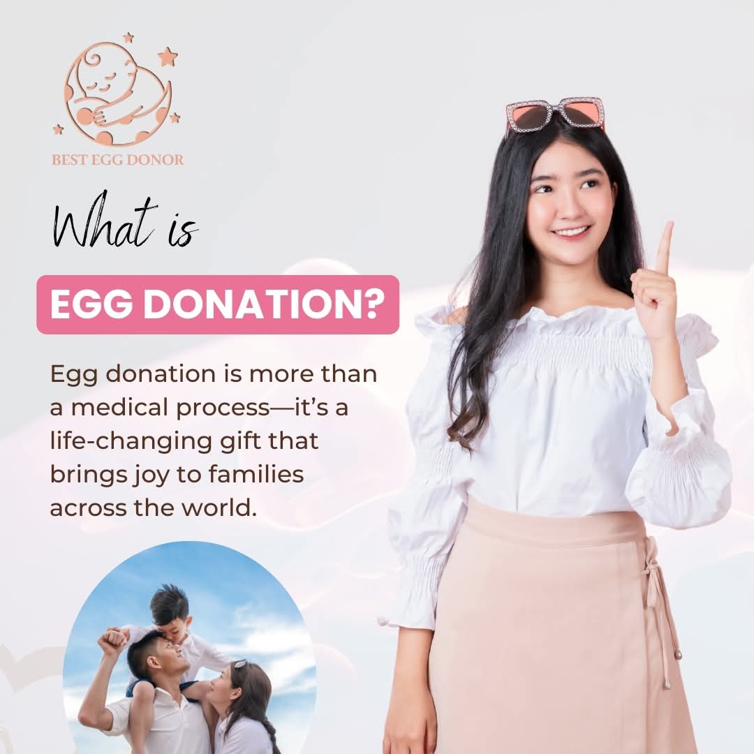 what is egg donation ?