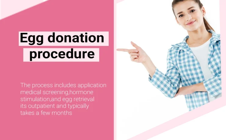 Blog banner of Egg Donation Process