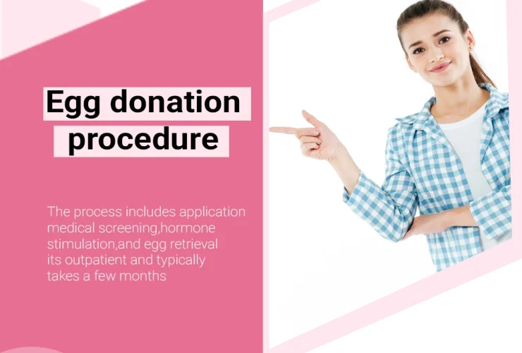 Blog banner of Egg Donation Process