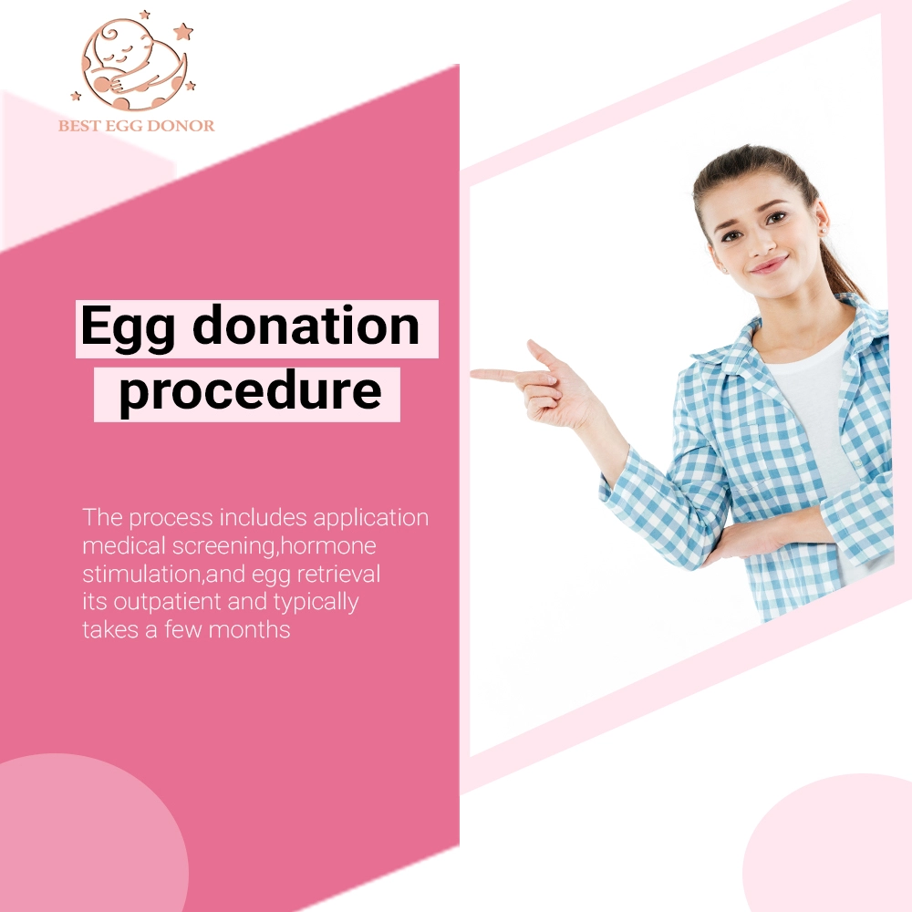 Blog banner of Egg Donation Process