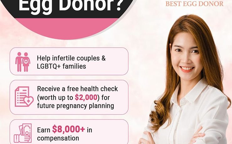Blog banner of how to become an egg donor - best egg donor