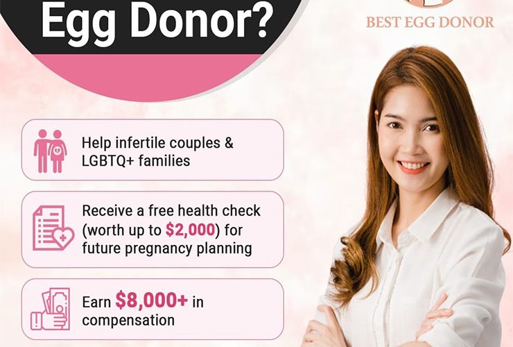 Blog banner of how to become an egg donor - best egg donor