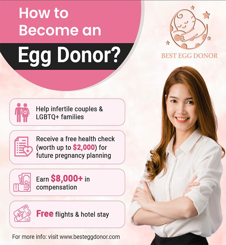 Blog banner of how to become an egg donor - best egg donor